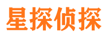 静宁市调查公司